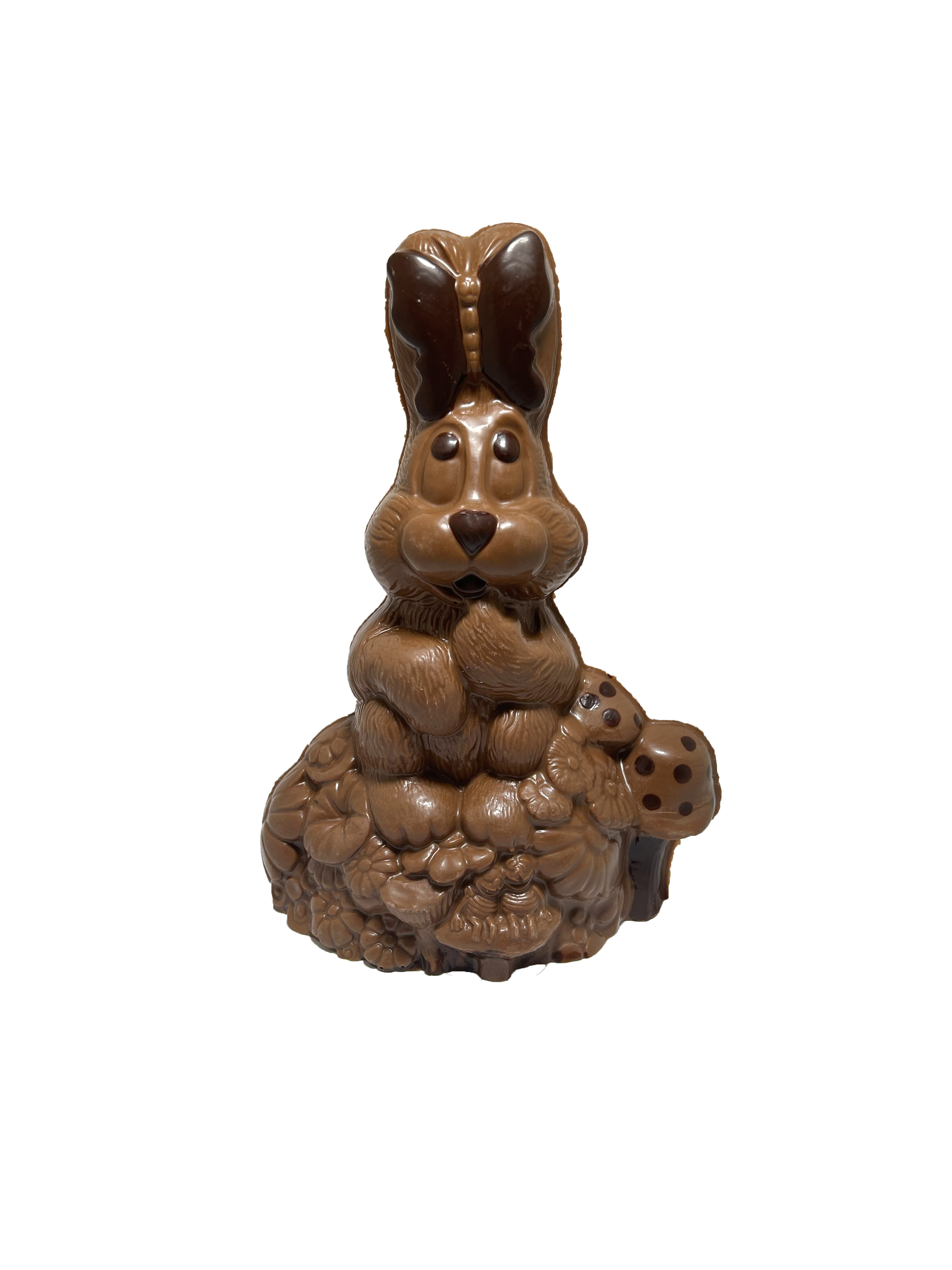 Lapin papillon