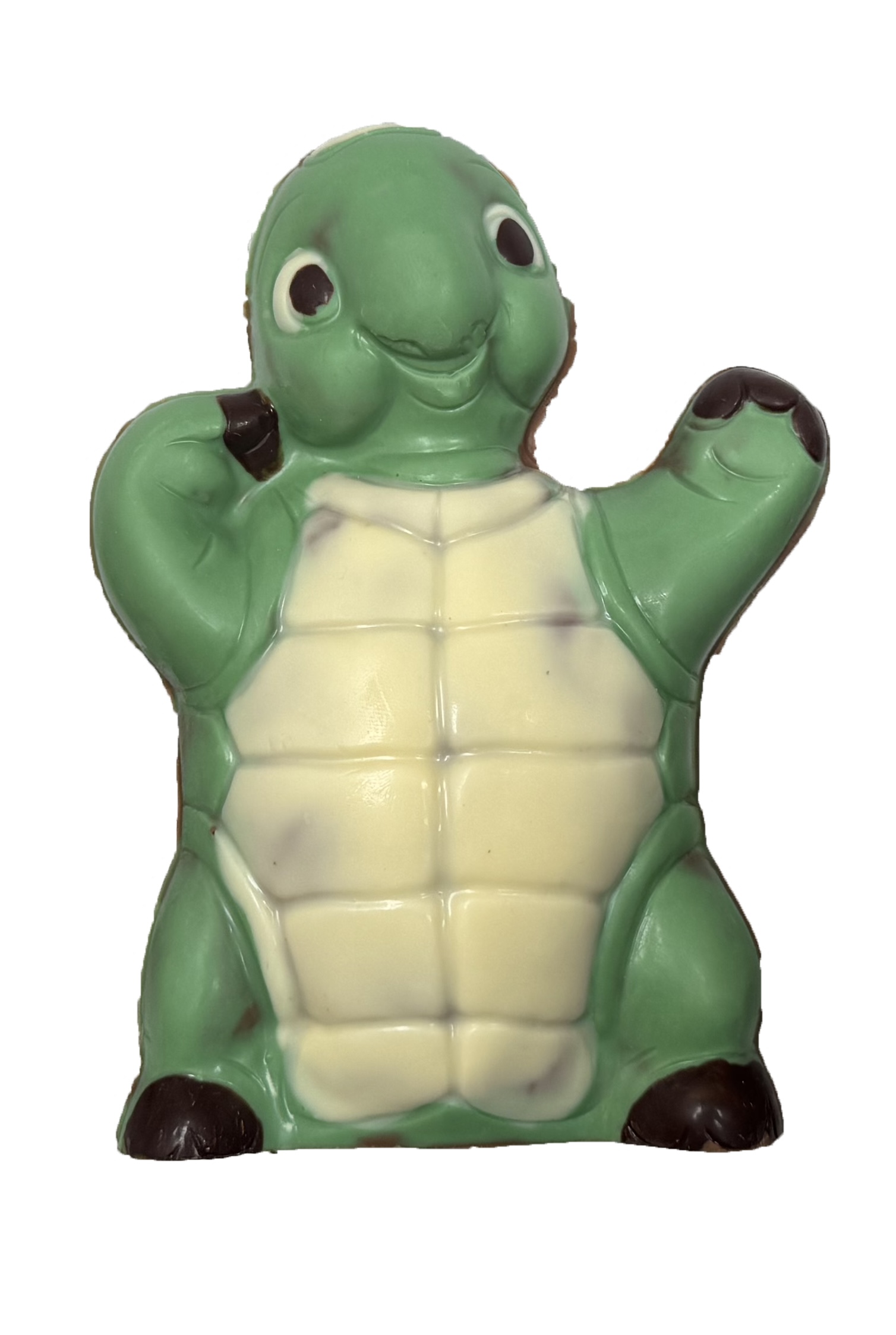 Tortue